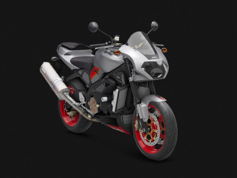 Aprilia RSV 1000 Tuono 2004 2004