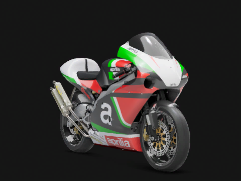 Aprilia RS 250 RM 2001 2001
