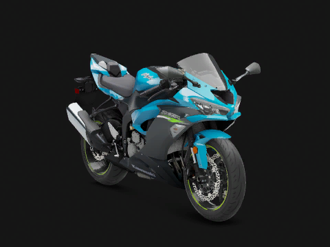 Kawasaki Ninja ZX 6R 636 2019 2020