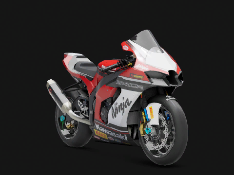 Kawasaki Ninja ZX 10RR RM 2021 2021